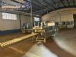 Linha completa de envase Tetra Pak TBA 8 com cardboard packer e shrink