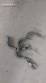 Bomba sanit�ria engrenagens Jormary