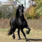 Industria para nutri��o animal