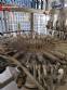 Envasadora rotativa com rinser rosqueadora tribloco Zegla